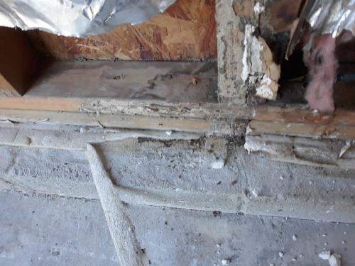 Xterminator Services job Termite damage